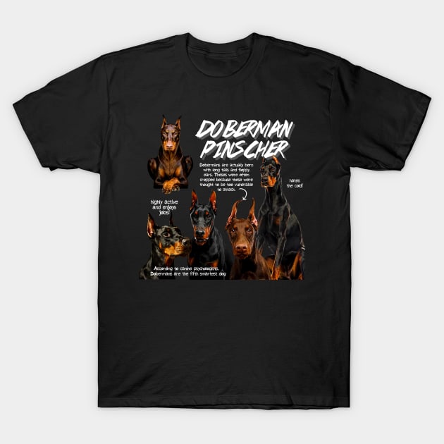 Doberman Pinscher Fun Facts T-Shirt by Animal Facts and Trivias